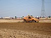 2009CRI-A-137.JPG