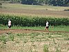 2009SCH-A-126.JPG