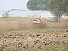 2009-VRCB-091.JPG