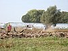 2009-VRCB-175.JPG