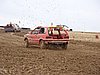 2010CRI-S-133.JPG