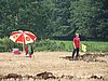 2010HAA-S-178.JPG