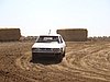 2010HOE-SP-141.JPG