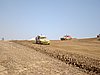 2010HOE-SP-170.JPG
