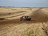 2012CRI-A-230.JPG