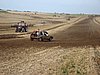 2012CRI-A-262.JPG