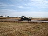 2012CRI-SP-167.JPG