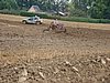 2012ROO-A-098.JPG