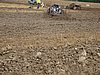 2012ROO-A-099.JPG