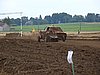2012ROO-A-116.JPG