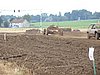 2012ROO-A-129.JPG