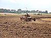 2012ROO-A-131.JPG