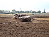 2012ROO-A-140.JPG