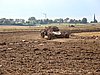 2012ROO-A-145.JPG