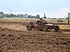 2012ROO-A-155.JPG
