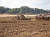 2012ROO-A-159.JPG