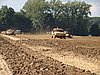 2012ROO-A-183.JPG