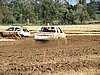 2012ROO-A-193.JPG