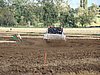 2012ROO-A-194.JPG