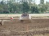 2012ROO-A-196.JPG