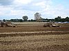2012ROO-A-209.JPG