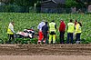 2013VIL-A-310.JPG