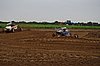 2013WIL-A-223.JPG