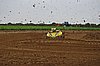 2013WIL-A-225.JPG