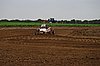2013WIL-A-238.JPG