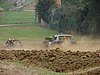 DSC04369.JPG