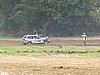 DSC04406.jpg