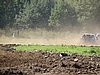 DSC03667.JPG
