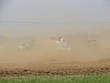 DSC05677.JPG