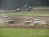 DSC05690.JPG
