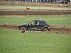 DSC05914.JPG
