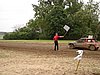 DSC06003.JPG