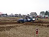 DSC09678.JPG