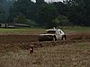 DSC09950.JPG