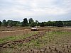 DSC06754.JPG