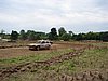 DSC06755.JPG