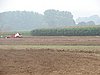 DSC09541.JPG