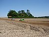 DSC01205.JPG