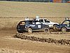 DSC00909.JPG