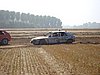 DSC01167.JPG