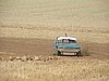 DSC01177.JPG