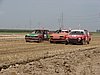 DSC08075.JPG