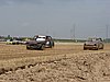 DSC08079.JPG