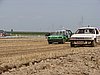 DSC08085.JPG