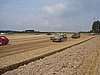 DSC08102.JPG