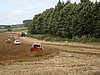 DSC00553.JPG